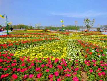 花海設計