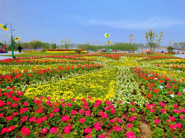花海設(shè)計